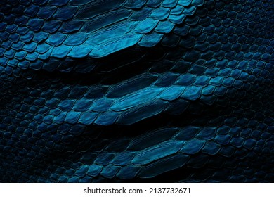 3,472 Blue scaly background Images, Stock Photos & Vectors | Shutterstock