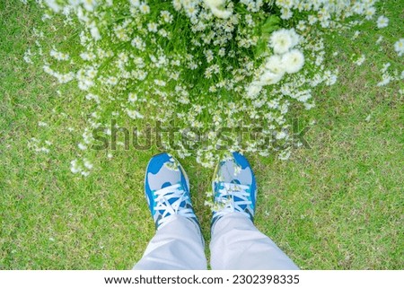 Similar – Blaues Blumenbeet mit blauen Schuhen