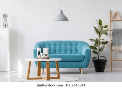 Blue Sofa Under Grey Lamp And In Front Of A Wooden Table In Simple Living Room Interior With Ficus And Ladder