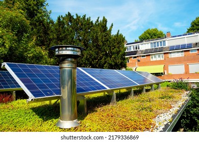 Blue solar panels on a green roof with sedum plants for climate adaptation - Shutterstock ID 2179336869