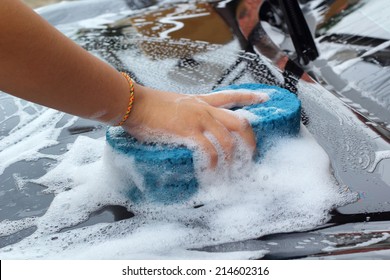blue sponge  the car for washing