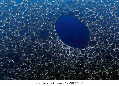 
blue sponge close up macro