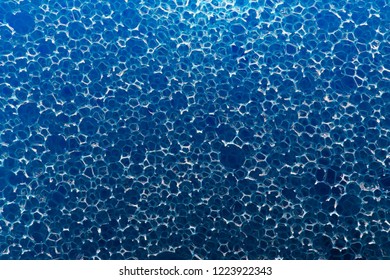 
blue sponge close up macro