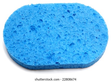 Blue Sponge Over White.