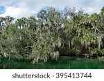 Blue Spring State Park is a state park located west of Orange City, Florida in the United States and serves as the winter home of many Florida manatees.