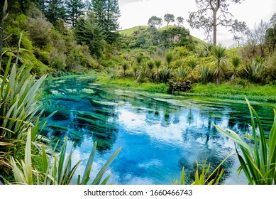Blue Springs, New Zealand - Natural blue river on the North island of New Zealand