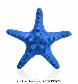 Blue Starfish Isolated On White Background