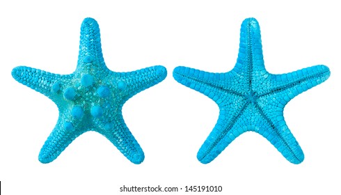 Blue Starfish Isolated On White Background