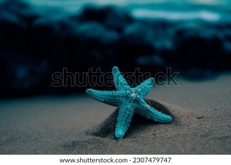 Blue starfish on the sand with the sea in the background. seashore, place for text, copy space. Travel, vacation. A blue seastar (Linkia laevigata). High quality photo