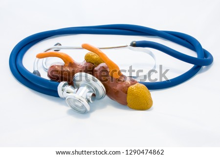 Blue stethoscope encircles kidneys and adrenals shape on white background. Idea of photo diagnosis, prevention and treatment of diseases of kidneys, preoperative preparation, research or test
