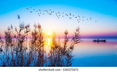 blue sunrise on calm lake - Powered by Shutterstock