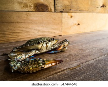 BLUE SWIMMING CRAB on wood background 