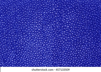 Blue Texture Leather Shagreen