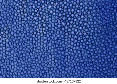 Blue Texture Leather Shagreen