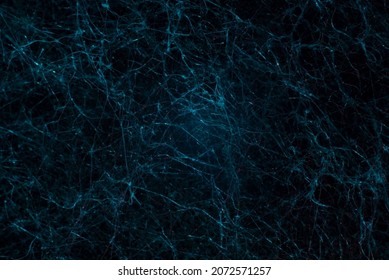 blue texture network abstraction natural mycelium mold neurons.
