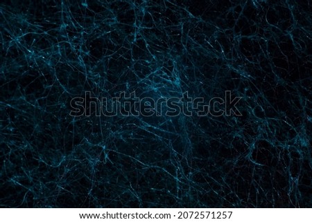 blue texture network abstraction natural mycelium mold neurons. Foto d'archivio © 