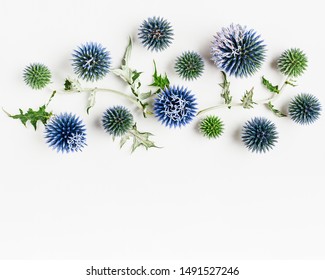 Blue thistle flowers and leaves composition. Flower arrangement on white background. Top view, flat lay. Floral design element
 - Powered by Shutterstock