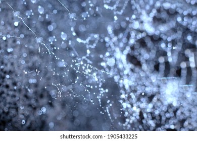 Blue Toned Natural Backdrop Made Of Spiderweb.Abstract Blurred Background With Sparkles And Round Spheric Water Drops On Web