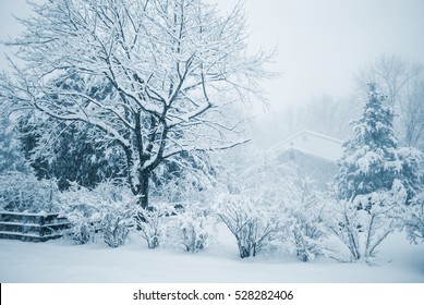 A blue toned Winter scene of a snow storm in this Central New Jersey neighborhood. - Powered by Shutterstock