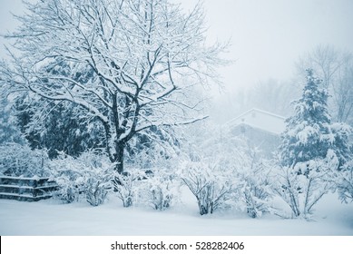 A Blue Toned Winter Scene Of A Snow Storm In This Central New Jersey Neighborhood.