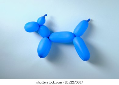 Blue Toy Dog From A Long Inflatable Ball, Top View