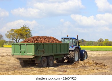 a blue tractor with a green trailer full of freshly harvested carrots leaving the field with a beautiful landscape and blue sky background