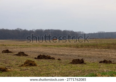 A blue tractor performs agricultural work in a spacious field under an overcast spring sky. In the foreground, piles of organic fertilizer are visible, prepared for soil nourishment before the sowing campaign near the forest.