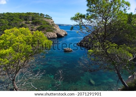 Blue turquoise clear water in Cal d'en Monjo bay at Mallorca surrounded by plants and trees where movie evil under the sun was filmed Stock fotó © 