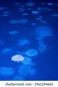 Blue Ultra Violet Light Illuminates Many Stains From Pet Urine On A Carpet In Home