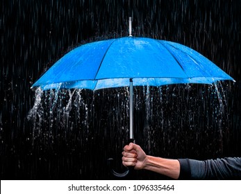 umbrella for the rain