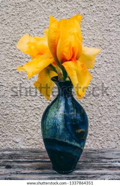 Blue Vase Yellow Iris Vase Stands Stock Photo Edit Now 1337864351