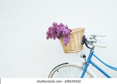 lilac bike with basket