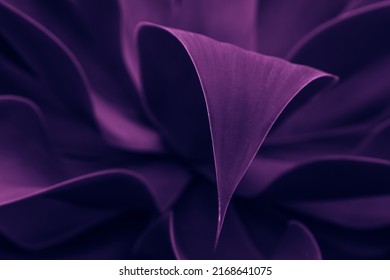 Blue and violet tropical plant glowing neon. Leaves close up, abstract nature background, dark blue and purple toned. Leaf details. Future, exotic and trendy concept. daring color