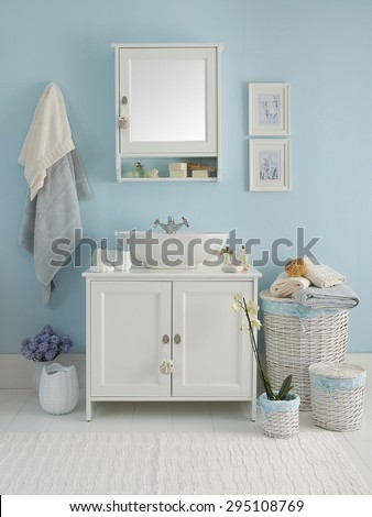 blue wall  clear bathroom style
