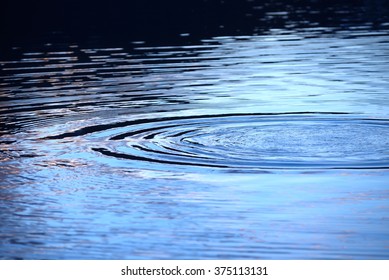 blue water with circular wave ripples, selective focus.