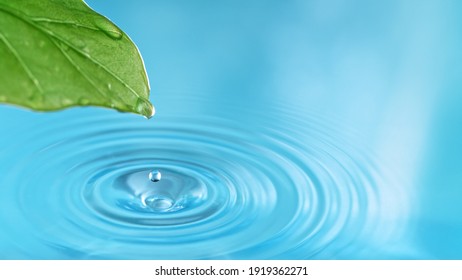 Blue water drop with green leaf, macro shot