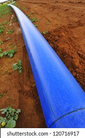 A Blue Water Pipe Resting On Red Soil Before Being Buried Underground.