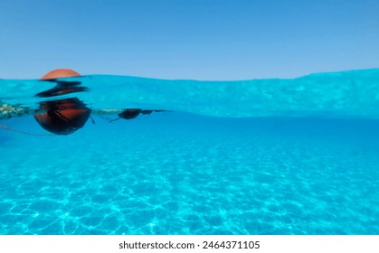 Blue water pool float Underwater split shot photos - Powered by Shutterstock