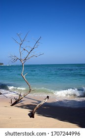 Blue Water Sandy Beach In Sri Lanka 