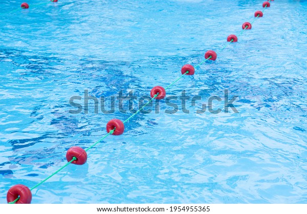 Blue water in
the swimming pool, safety
buoys
