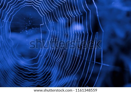 Similar – Image, Stock Photo blue Detail