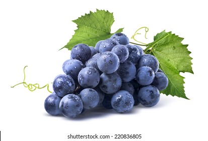 Синяя мокрая гроздь винограда Изабелла, изолированная на белом фоне в качестве элемента дизайна упаковки