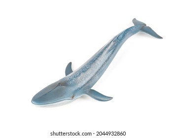 786 Blue whale top view Images, Stock Photos & Vectors | Shutterstock