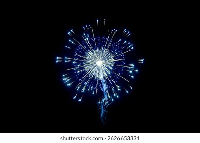 Blue and white fireworks burst captured mid-explosion in dark sky. The symmetrical radiance and icy glow make this photo ideal for celebrations, New Year’s Eve, and festive-themed designs.