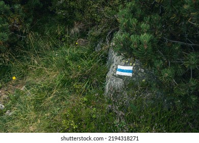 Blue And White Square Hiking Markers, Trail Blazing Symbol On A Stone