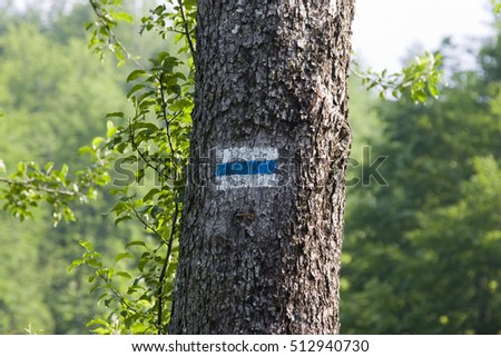 Similar – Image, Stock Photo adrenaline rush Summer