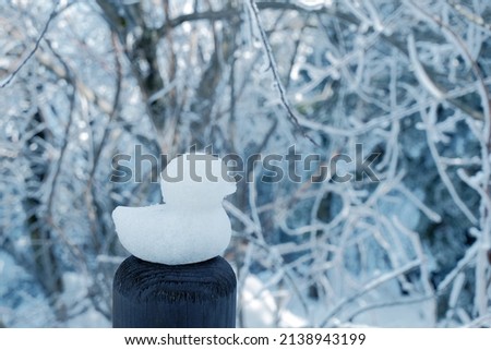 blue winter snow ice duck 