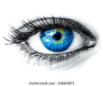 Blue woman eye macro shot