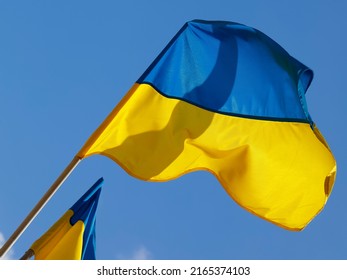 The blue and yellow flag of Ukraine flutters in the wind on a windy day.