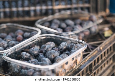 Blueberries in clear plastic tray. Freshly harvested blueberries on the farmyard, food concept.